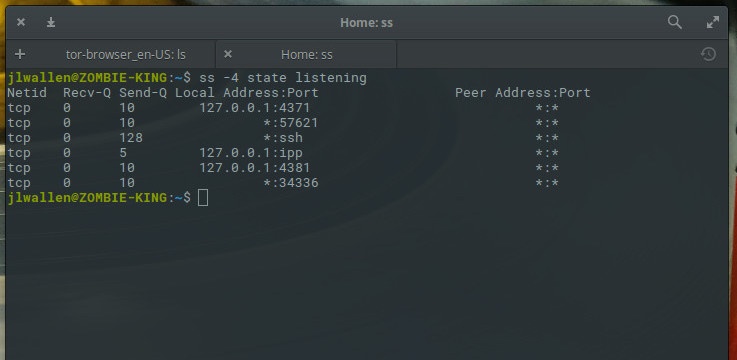 Command port. Команда Telnet IP порт 443. Команда Telnet IP порт. Telnet Linux.